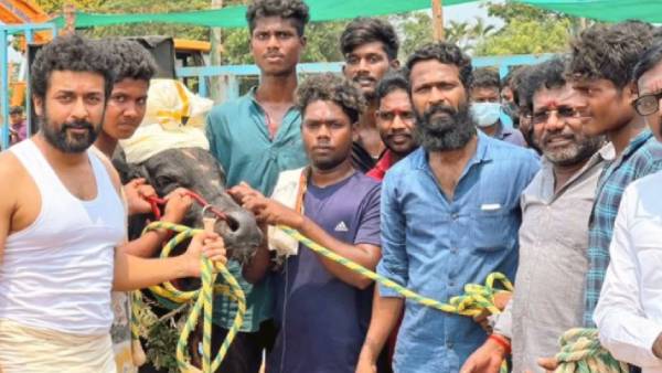 சொந்தமாக ஜல்லிக்கட்டு மாடுகள்