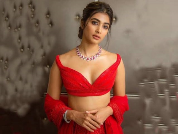 முதல் பட ஹீரோயின் திருமணத்துக்கு கூட போகலையே.. ட்விட்டரிலும் ஆளை காணோமே.. பாவம் நெல்சன்! | Why Nelson didn’t attend Nayanthara and Vignesh Shivan wedding 4 பூஜா ஹெக்டே கூப்பிட்டும்