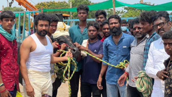 ஜல்லிக்கட்டு பயிற்சி