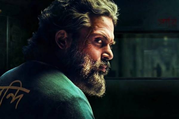 பட்டப் படிப்பு