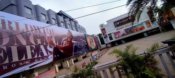 நியூசிலாந்தில் வாரிசு