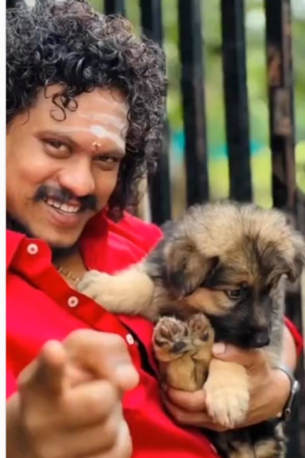 நாய்க்குட்டிக்கு தாலாட்டு