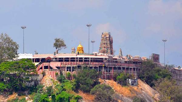 பழனியில் சாமி தரிசனம்